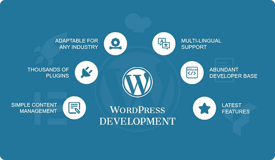 WordPress Development Course Details